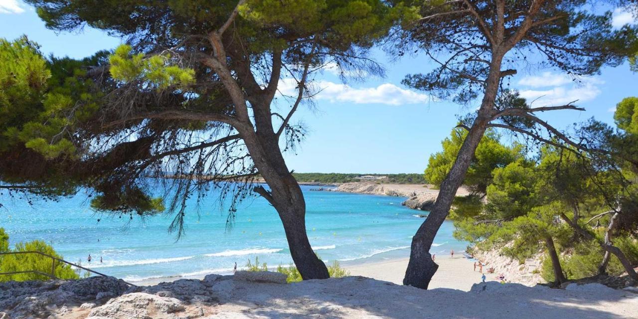 Sauge Martigues